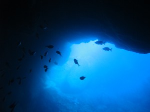 この写真と隣の写真は数メートル潜って海中から海面を撮影したものです